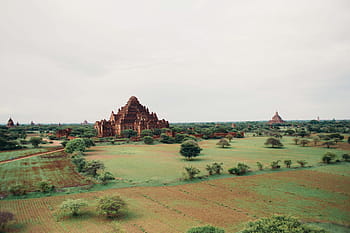 ancient, temples, forest, surrounded, trees, archaeology, architecture, construction, famous, heritage, historic