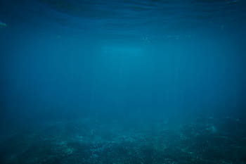 pod vodou, modrý, oceán, moře, potápění, námořní, aqua, Příroda, hluboký, tyrkysový, vodní