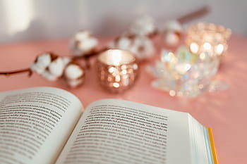 terbuka, buku, pink, latar belakang, membaca, kacamata, belajar, backgound merah muda, feminin