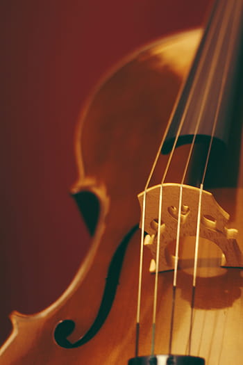 zijaanzicht, viool, boog, draad, instrument, muziek-, geluid, luister, hout, altviool