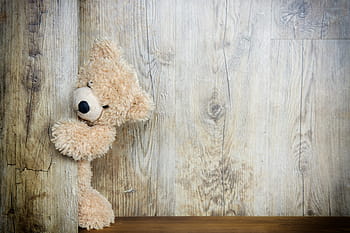 bear, teddy bear, cuddly bear, stuffed animal, soft toy, bears, cute, sweet, map, greeting card, invitation