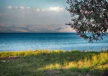 moře, moře galileje, Galilee, tabgha, jezero, voda, tiberias, Izrael, krajina, biblický, cestovní ruch