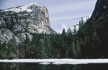 půl kopule skalní odraz, zamrzlý, zrcadlové jezero, yosemitu, národní, park, Amerika, Kalifornie, kupole, ledovec, zelená