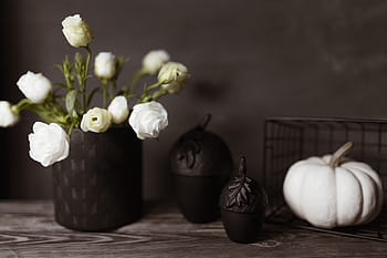 escuro, humor, decorações para a casa, flores, decorações, decoração, abóbora, dia das bruxas, abóbora branca