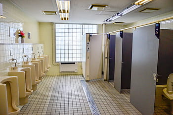japonský toaletní styl, parkoviště, toaleta, Japonsko, koupelna, lázeň, pokoj, místnost, toalety, design, hygiena, bílý