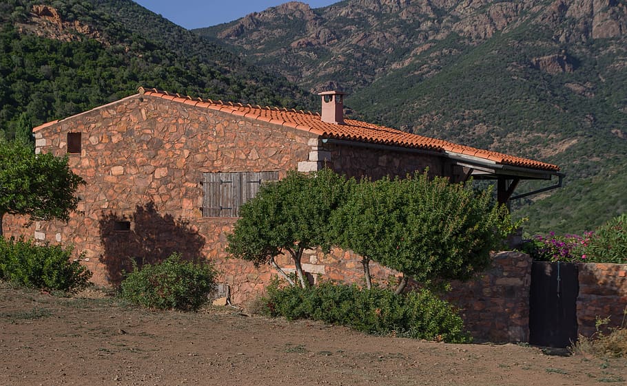 Korsičan, vesnice, maquis, divoký, údolí, hora