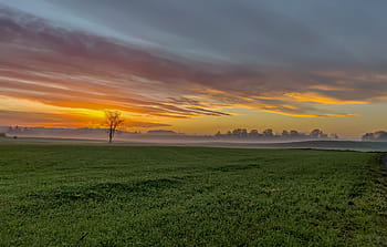 sunrise, autumn, green, landscape, fog, village