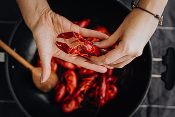 lobster rebus, hewan, makanan, memasak, makan malam, merah, lobster, rebus, dimasak, crawfish