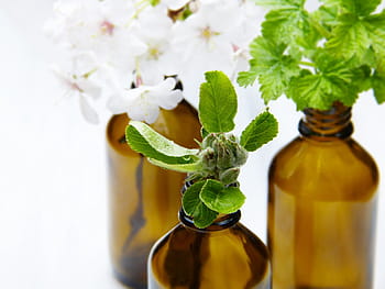szkło, butelki, fiolka, kwiat jabłoni, fiolka apteczna, aromaterapia, olejki eteryczne, wellness, zapach, Perfumy, spa