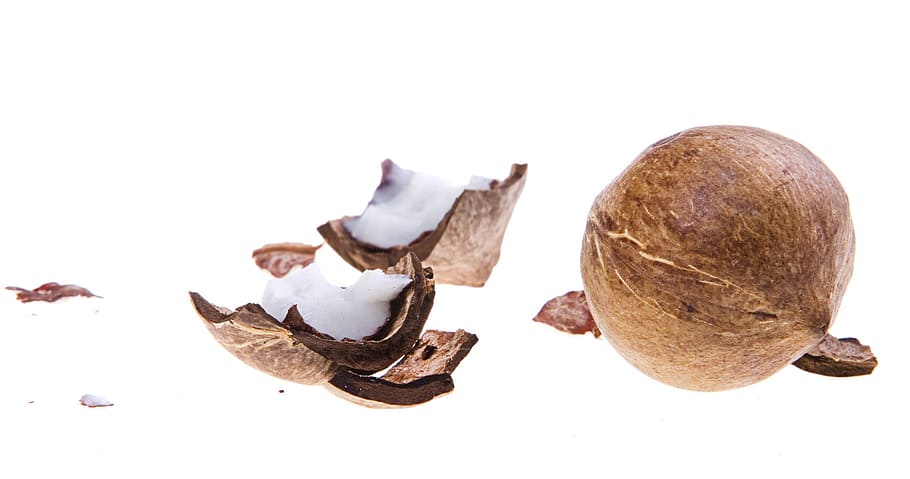 kokosnoot, kokosnoten, cocos, cocoz, wit, fruit, achtergrond, hout, detailopname, geïsoleerd, vegetarisch