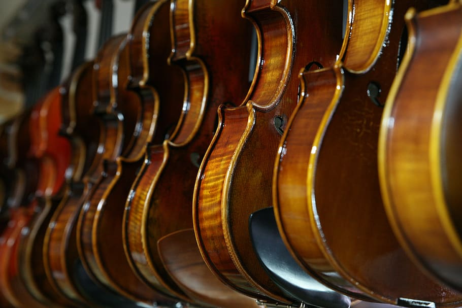 ses, keman, müzik, enstrüman mağazaları, müzik aleti