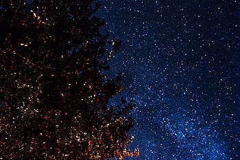 árboles, cielo estrellado, naturaleza, cielo, aire libre, noche, estrellas, estrellado, astronomía, galaxia, astrofotografía