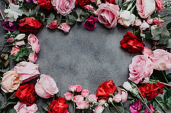 komposisi bunga, bunga, mawar, flora, ruang salin, indah, latar belakang, colorfull, pink, merah, valentine