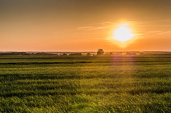 sunrise, fields, meadows, plain, europe, landscape, field, meadow, agriculture, panorama, the sun