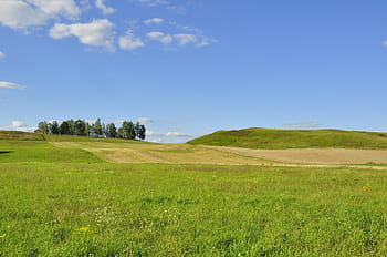 természet, fa, a környezet, Látvány, rétek, nyári, a háttér, szellemi béke, tájkép, ég, felhők
