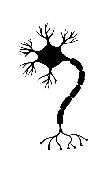 illustration, nerve cell, cell., neuron, brain, neurons, nervous system, synapse, neural pathways, ribosome, vesicle