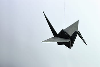origami, carta, piegato, ala, dom, Ave, fatto a mano, nero, gru, est, Giappone