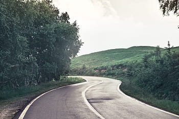 view, empty, road, trees, around, direction, drive, way, highway, landscape, mountain
