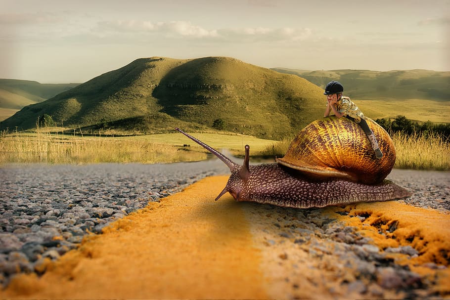 snail, girl, patience, ride, road, slowly, fantasy, surreal, photoshop, composing, photomontage