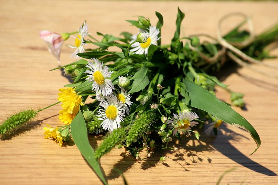 bouquet, a small bunch, wildflowers, summer, flowers, the beasts of the field, meadow, nature, green