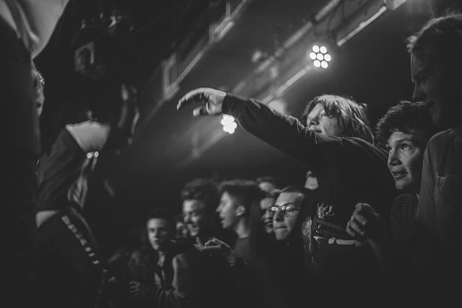 concert, the crowd, music, the festival, entertainment, people, team, club, musicians, group, musician