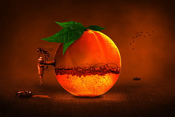 juice, extract, extraction, drink, orange, nature, fruit