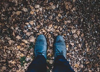 leaf, fall, autumn, shoe, footwear, adventure, outdoor, travel