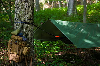 venkovní, houpací sít, bushcraft, přežití, skladem, trekking, les, dobrodružství, tarp, stan, Příroda