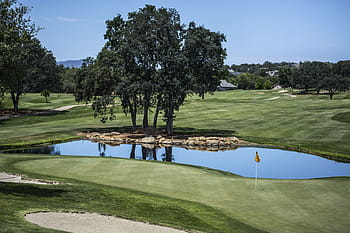 nature, landscape, golf, course, field, grass, green, sport, hobby, flag, trees