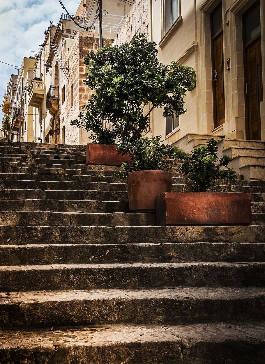 kamenné schody, Street View, olivovníky, pěstitelů, perspektivní, Malta, architektura, fasáda, cestovní ruch, reisenz, vertikální