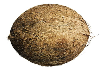 coconut, closeup, isolated, vegetarian, hairy, natural, delicious, tropical, white, diet, brown