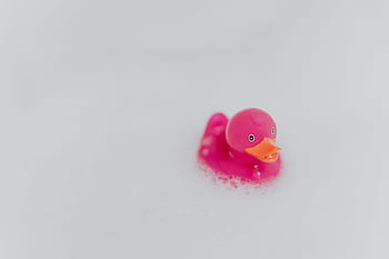 rosa, patito de goma, espuma, pato de goma, pato rosa, pompas de jabón, juguete, juguete de goma, baño