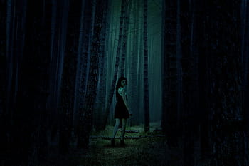 woods, dark, scared, walking, path, forest, nature, landscape, wood, trees, darkness