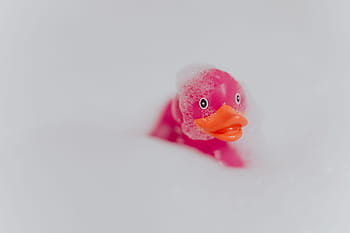 rosa, patito de goma, espuma, pato de goma, pato rosa, pompas de jabón, juguete, juguete de goma, baño