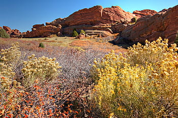 bright, afternoon colorado sunshine lights, red, rocks park, seen, trading post trail, amphitheater, morrison colorado, colorado., keywords red, rock