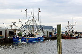 dva, rybářské lodě, zakotvila, jeden, bod, příjemný, přístavy, podél, Nový, Jersey Shore, pobřeží.