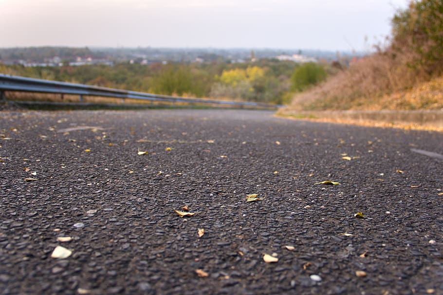 asphalt, gray, grainy, travel, empty, way, weather, leaf, autumn, nature, sky