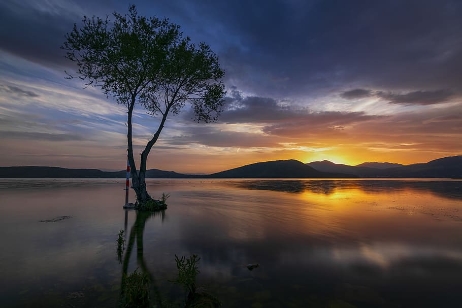 tree, lake, water, nature, landscape, trees, clouds, reflection, sky, wilderness, scenic