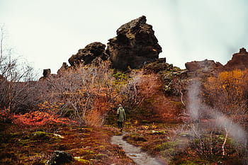 turista, chůze, podzimní les, dobrodružství, mraky, barvitý, krajina, hora, venku, park, scénický