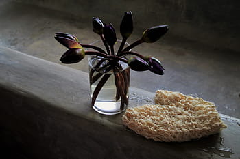 cup, bouquet, bathroom, bath, concrete, wet, still life, closeup, no one, spa, water