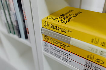 banyak, buku, toko buku, baca, studi, sastra, pengetahuan, rak, pembaca, perpustakaan, toko