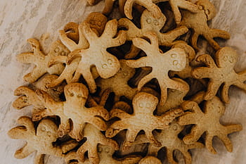 kue gurita, binatang, manis, permen, roti jahe, kue kering, gurita, roti