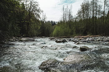 river rapids, mountains, surrounded, pebble stones, trees, flowing, landscape, mountain, rock, rushing, sky