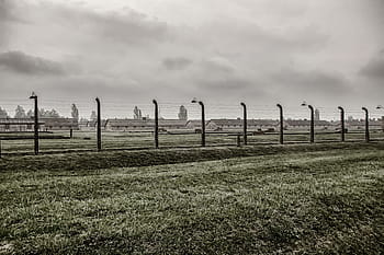 Osvětim 2, brezinka, Osvětim, Polsko, holocaustu, tábor, muzeum, Židi, pamětní, unesco