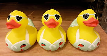 three, cute, yellow, plastic ducks, bikinis., ducks, plastic, toys, fun