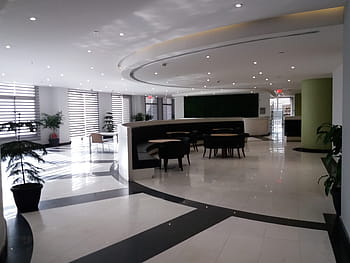 penerimaan, kantor, tempat kerja, interior, furnitur