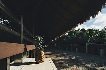pineapple, dessert, appetizer, fruit, juice, crop