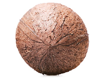 coconut, closeup, tropical, white, brown, husk, one, macro, hard, object, coco
