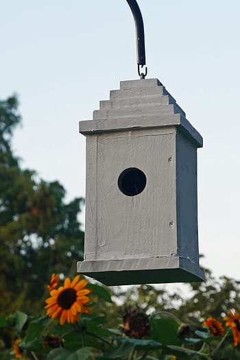 birdhouse, backyard garden, garden., bird, aviary, wooden, wood, tree, trunk, forst, background
