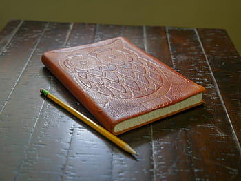 owl notebook, pencil, sitting, wooden, desk, wood, flat, education, symbol, study, owl